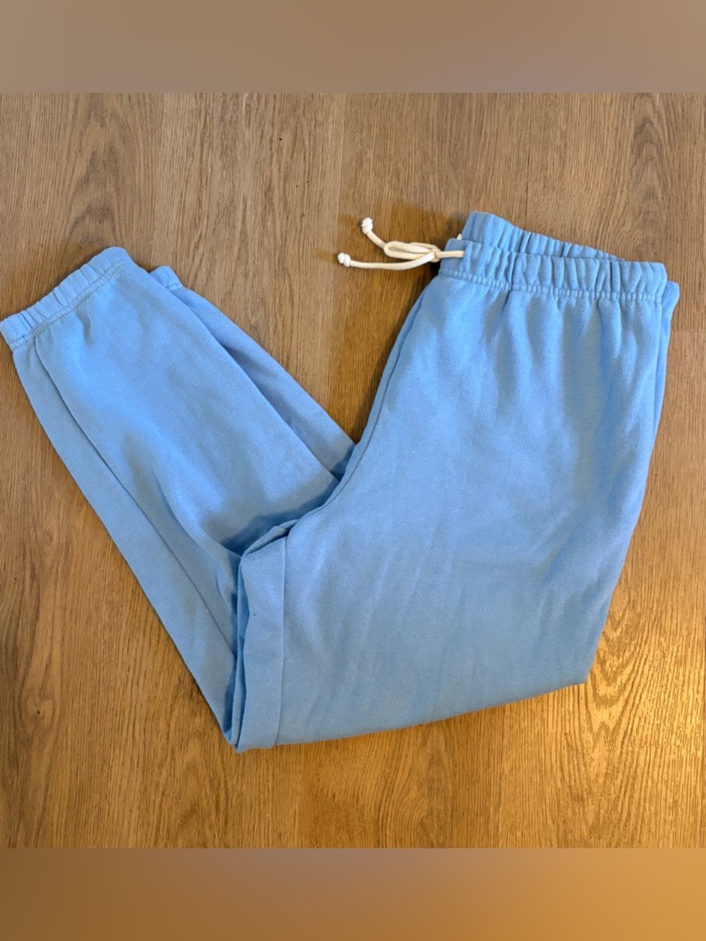 Light Blue Z Supply Fleece Joggers